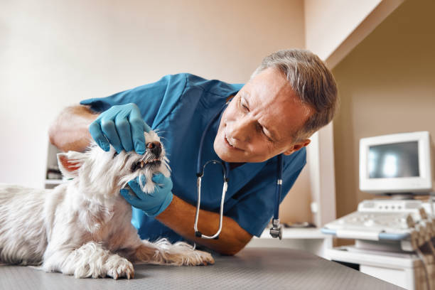 Best Dental Abscess Treatment in Santa Nella, CA